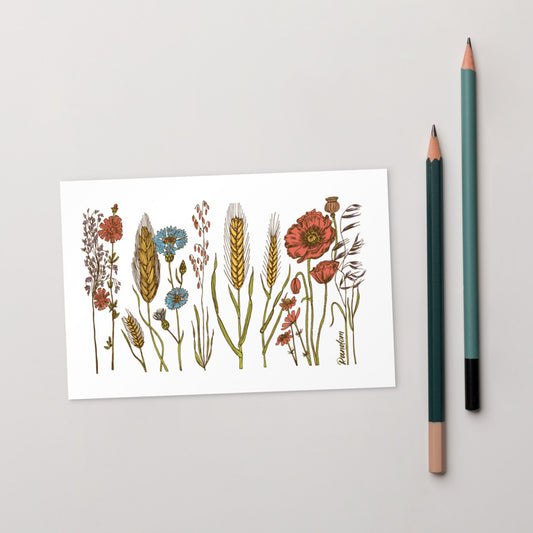 Wild Flower Postcard